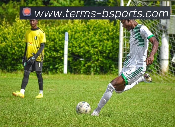 B体育平台生态图